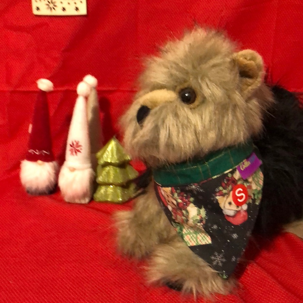 Pet bandannas